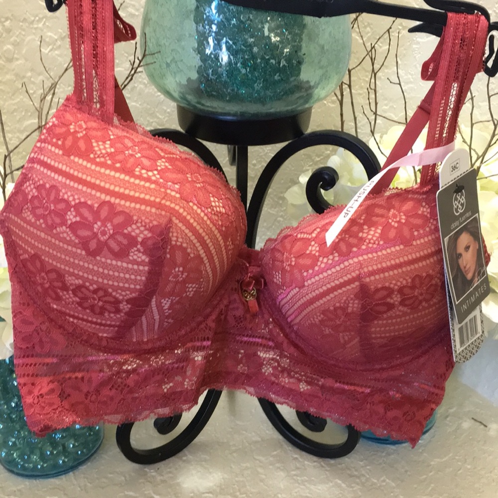 NWT Daisy Fuentes push-up bra